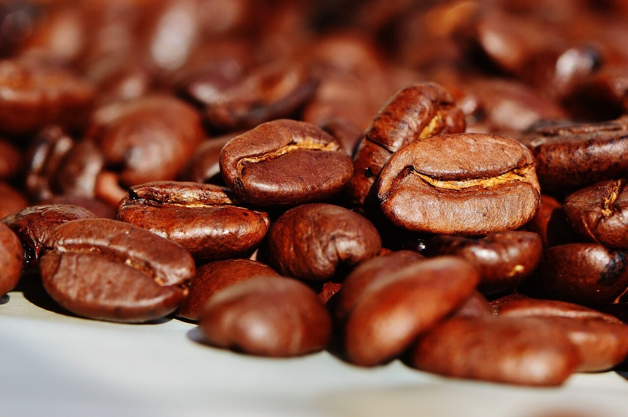 Read more about the article The History of Coffee Bean: Where did coffee originate From?