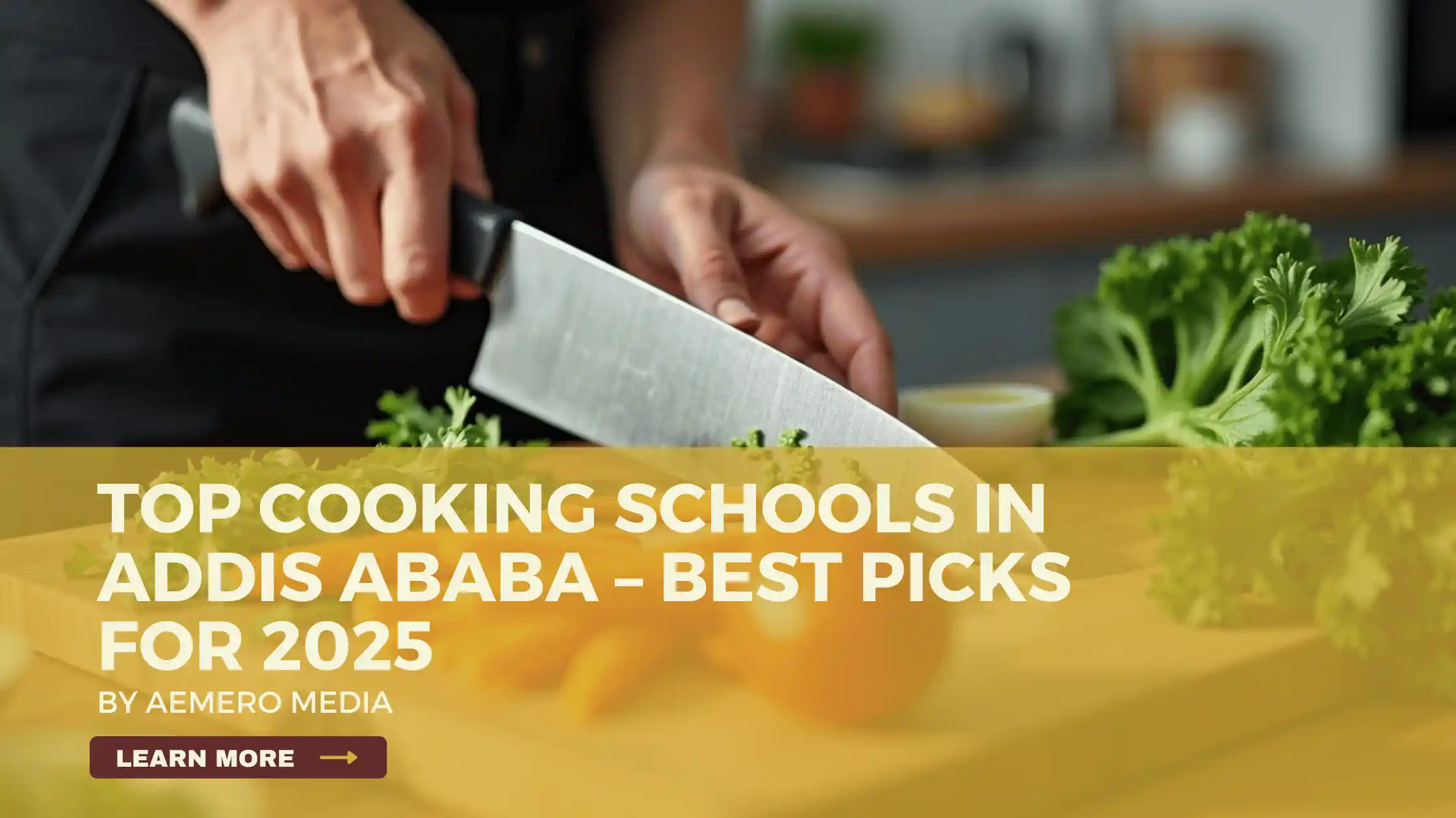 THE 10 BEST ADDIS ABABA CLASSES WORKSHOPS visual data 8