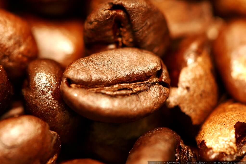 A close-up of coffee beans, with varying shades of brown and a shiny texture.
