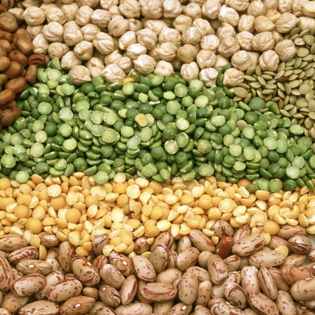 . A diverse assortment of beans and seeds neatly stacked together in a pile.